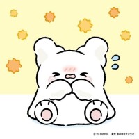 お詫び; - ;