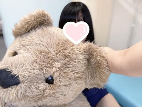 登校予定日- ̗̀ 📢💭