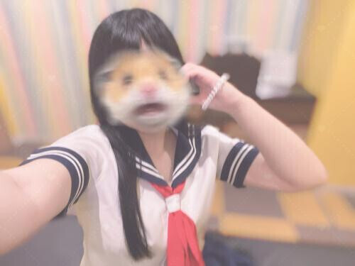 ハムスターの話と、‪🐹