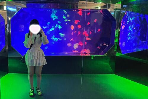 水族館⋆⸜🐬⸝⋆