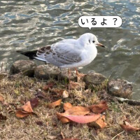 え、いるよ？😑