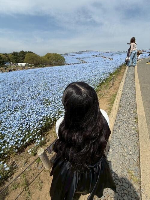 ネモフィラ✿.*･