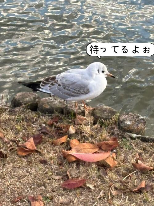 NoTitle