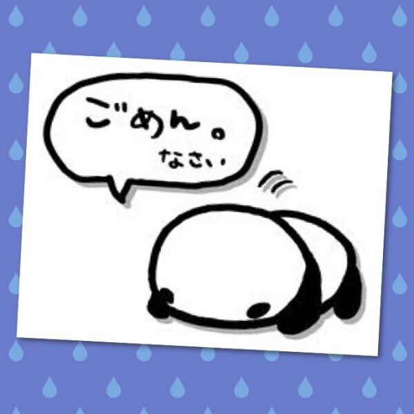お休み‼️次回は15日(金)💓