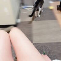 浅倉　一花