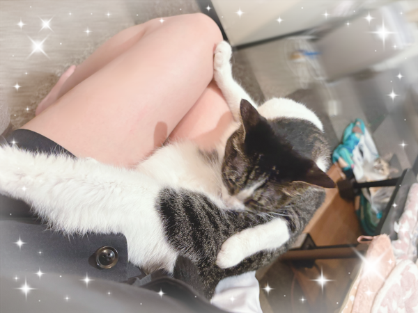たいきんたま〜🌟