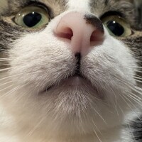 かわいすぎやろっ‼️