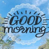 今日は?