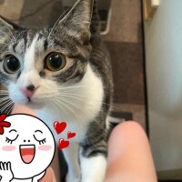久々です