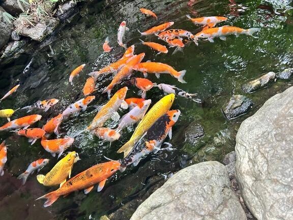 お休み明けです！