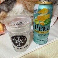 村上　りこ