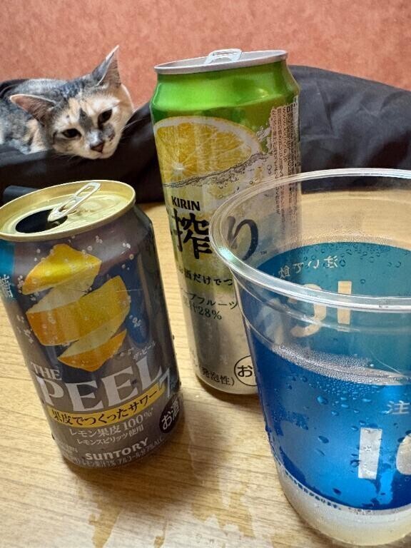 昨日はお泊りでした！