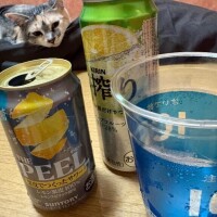 昨日はお泊りでした！