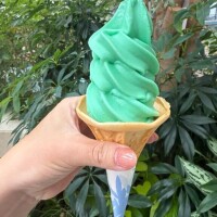 ありがとう?