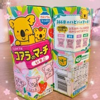 誕生日コアラだって?