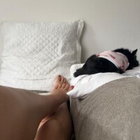 めっちゃ、、、