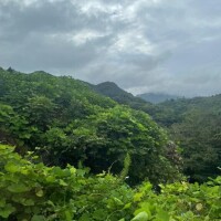 大満足です?