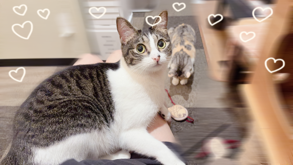 しゅ〜❗️