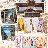 神尾　みお