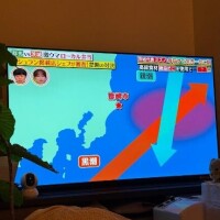 山咲　りょう