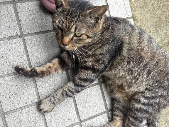 明日は22時受付で出勤します♪