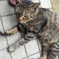 明日は22時受付で出勤します♪