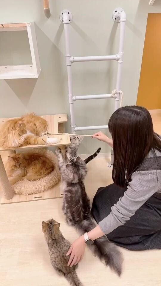 坊ちゃん一緒に遊びましょ
