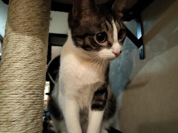 ありがとうございました??