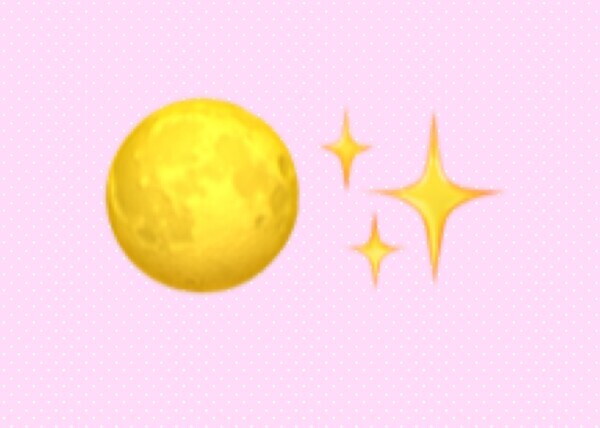 キタキタ‼️