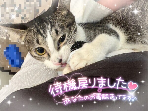 🥺⁉️