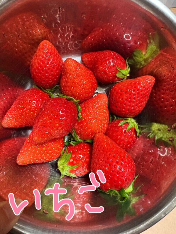 日記だけでごめんなさい（ ;  ; ）