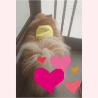 吉永　瞳