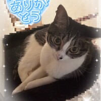 今週もありがとっ❣️