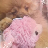 到着ーっ！