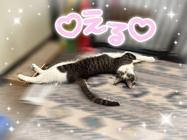 会いたいなあ💗