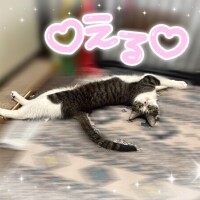 会いたいなあ💗