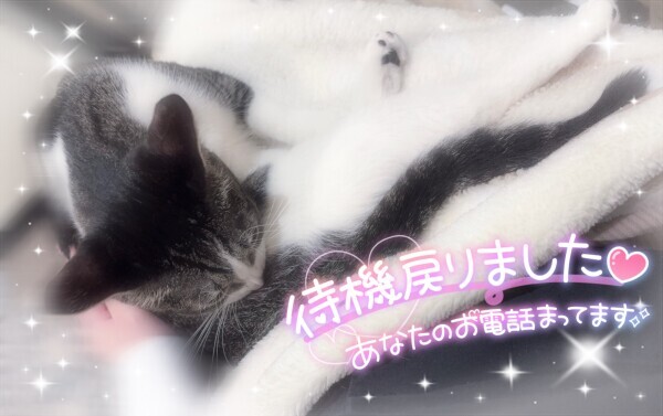 🐱💗