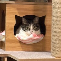 またねっ💖