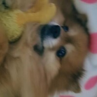 遅くなってすみません_(:3｣ ∠)_