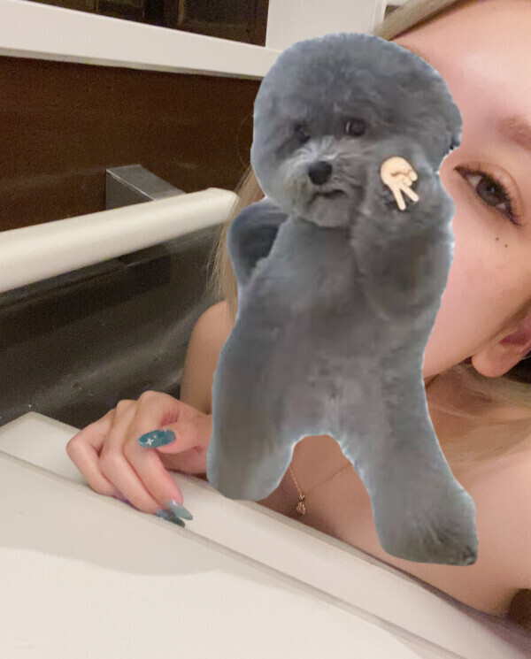 胡蝶といったら乱舞かしのぶか