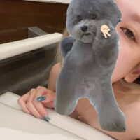 胡蝶といったら乱舞かしのぶか