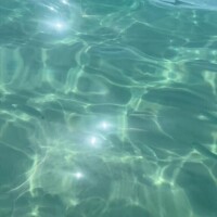 上条　ゆの