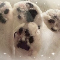 8月もありがとう❣️