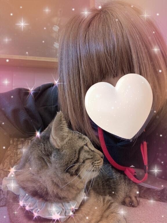 ヽ(￣д￣;)ノ=3=3=3