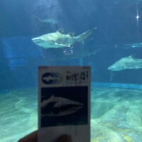 今週の出勤予定日?