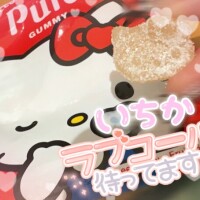 🐱きゃわわ🎀