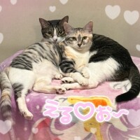 まったあした〜ん❣️