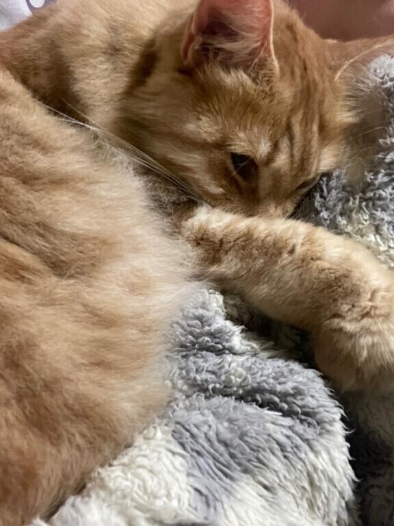 今の布団はすごい。