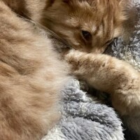 今の布団はすごい。