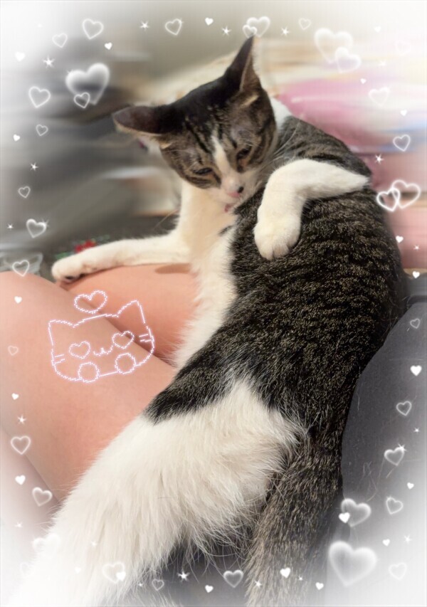 しゅしゅしゅ‼️